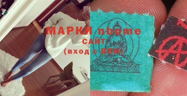 хмурый Алексин