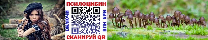 Псилоцибиновые грибы мицелий  маркетплейс как зайти  Томмот  купить закладку 